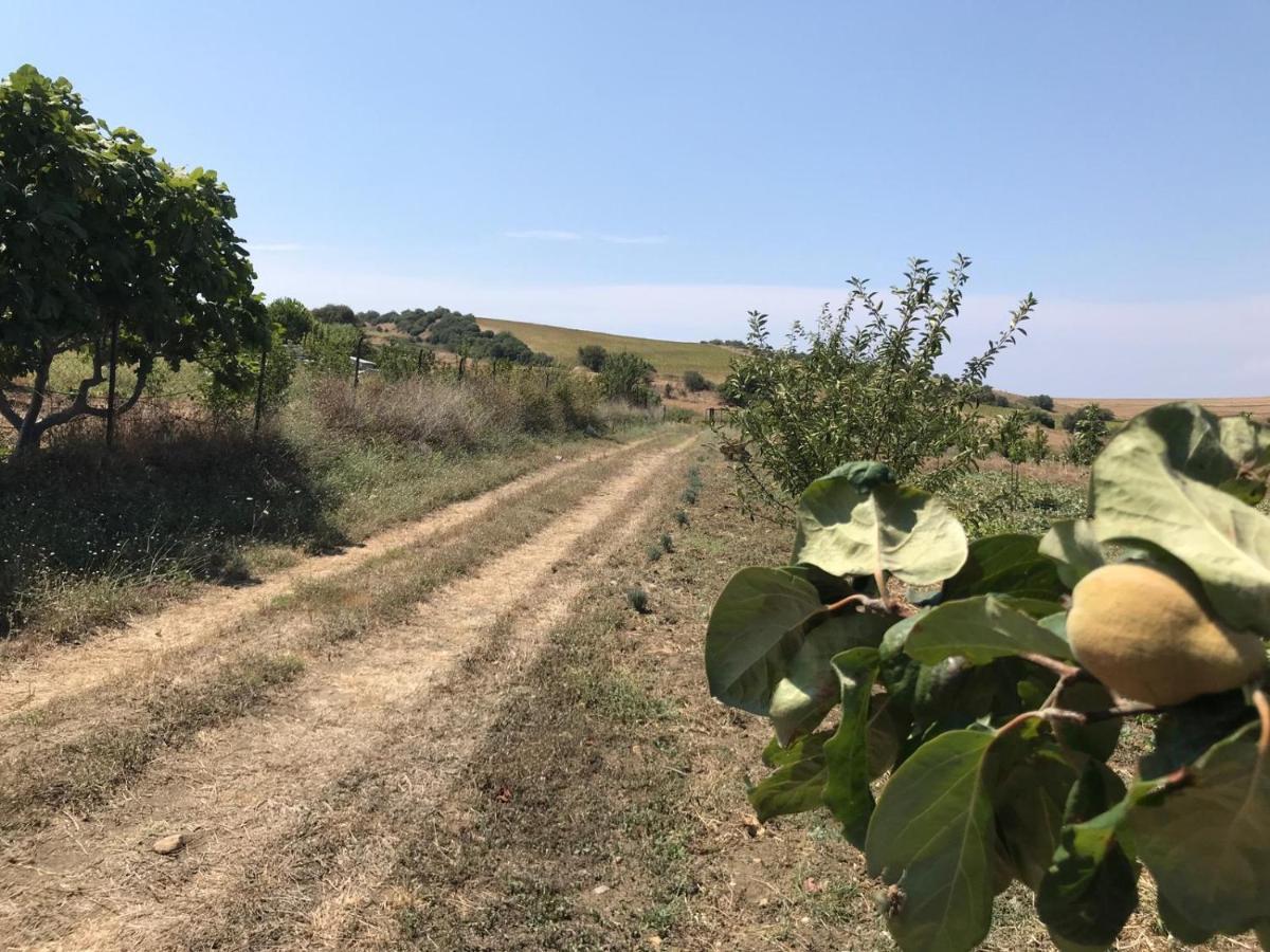 Kublay'S Βίλα Γκελίμπολου Εξωτερικό φωτογραφία